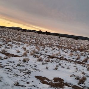 Meet your Posher, Omar